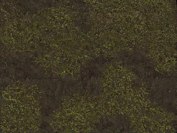 gray brown soil ground moss vegetation texture (ID:ffaeh159876)