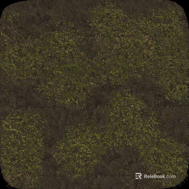 gray brown soil ground moss vegetation texture