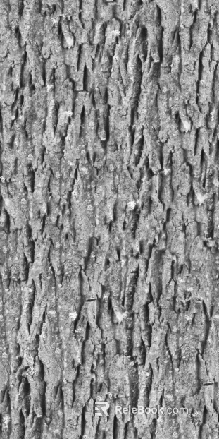 bark texture