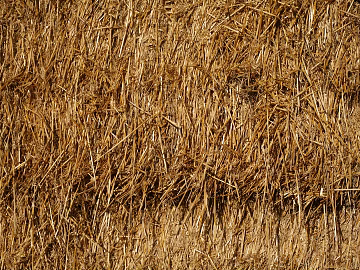 Thatch texture (ID:ffagf8530)