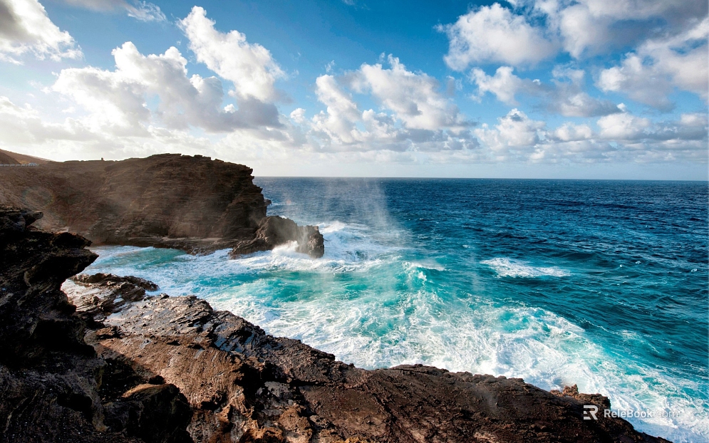 Wild Scenery texture
