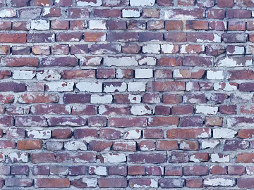 Wall Tile Texture texture (ID:ffach888284)