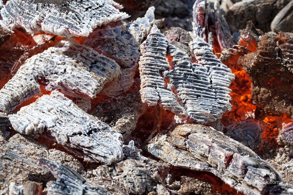 carbon wood black fire carbonized wood texture