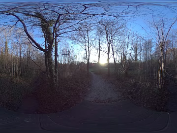 Outdoor Woods Autumn Daytime HDR texture (ID:ffabg72611)