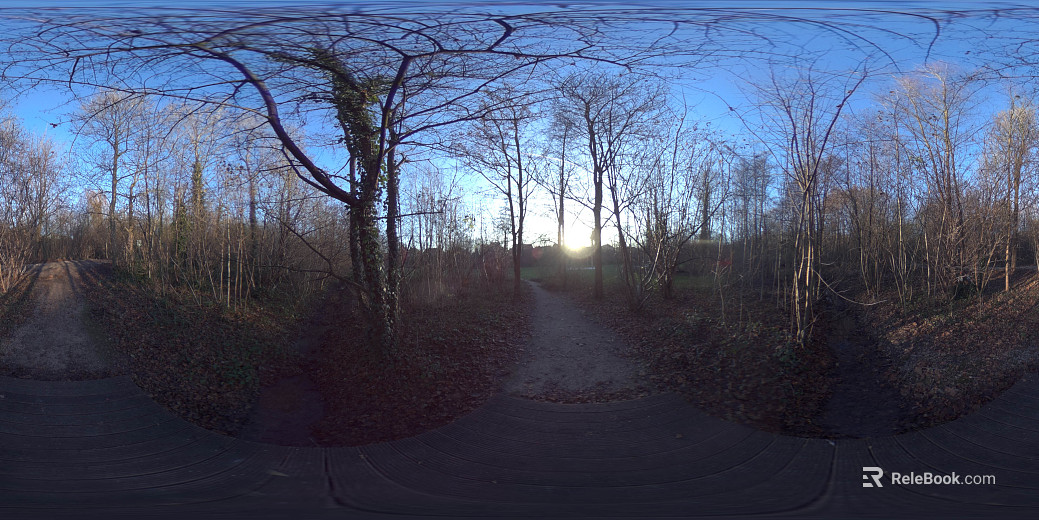 Outdoor Woods Autumn Daytime HDR texture