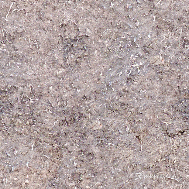 Sand Soil Sandy Soil Ground Road texture