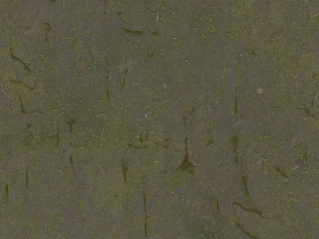 gray green moss rock outdoor ground texture (ID:ffaeh447639)