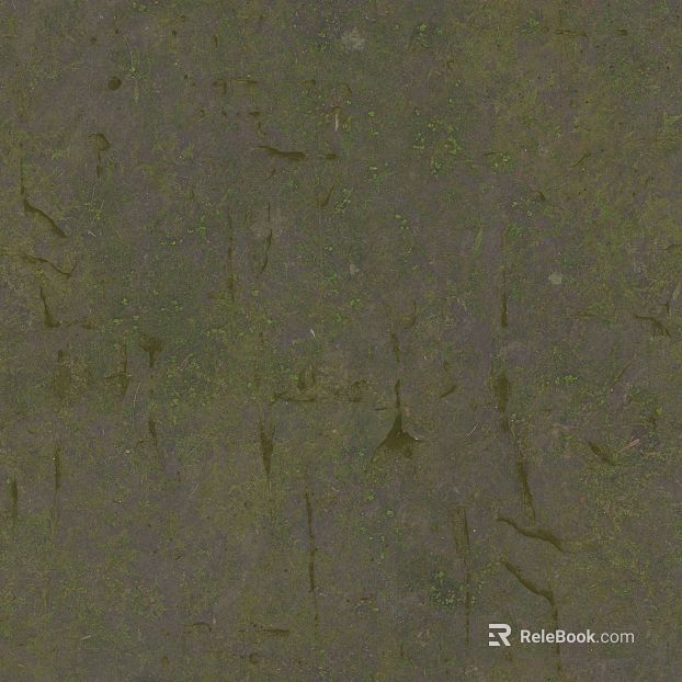 gray green moss rock outdoor ground texture