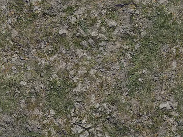 Turf texture (ID:ffajg55982)