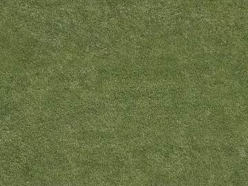 Grassland texture (ID:ffacg25446)