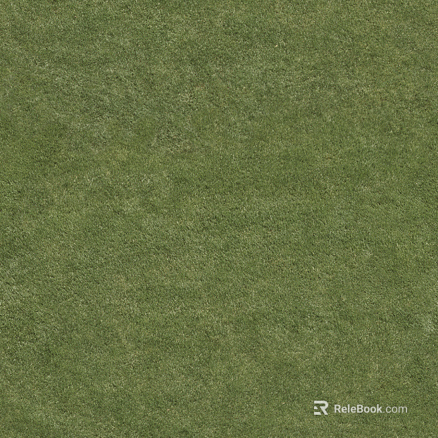 Grassland texture