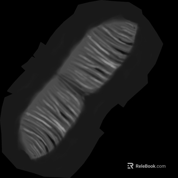 Black and White Wood Texture Decoration Map texture