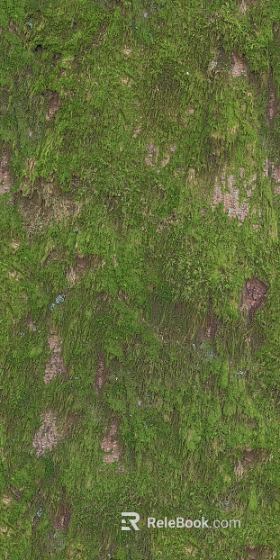 moss texture