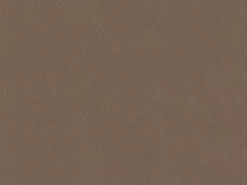 fine grain leather texture (ID:ffaaf8475)