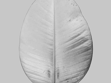 leaves texture (ID:ffajg71979)