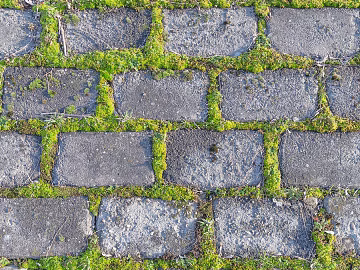 grass-planting brick texture (ID:ffach369290)