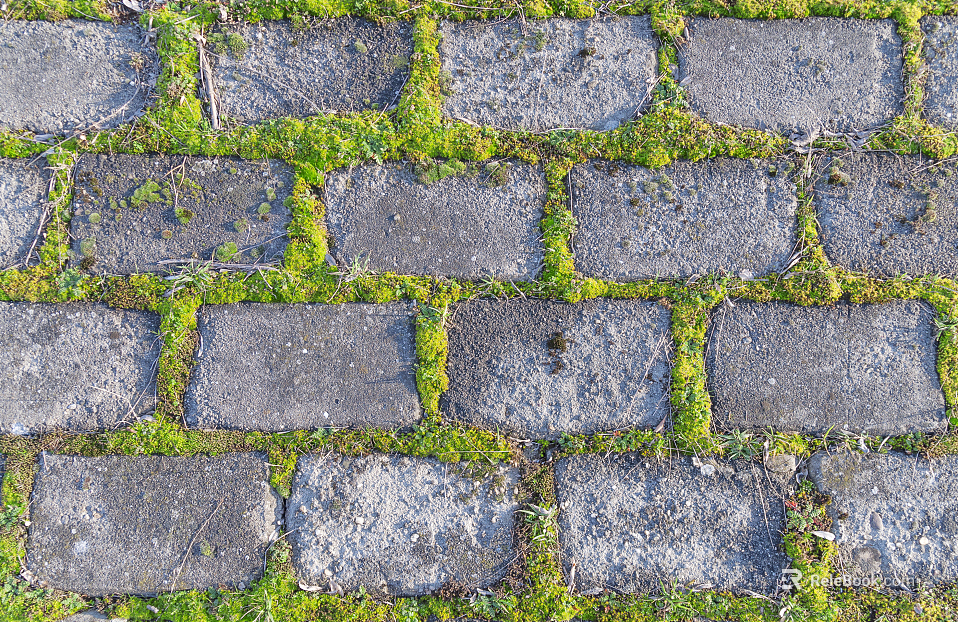 grass-planting brick texture