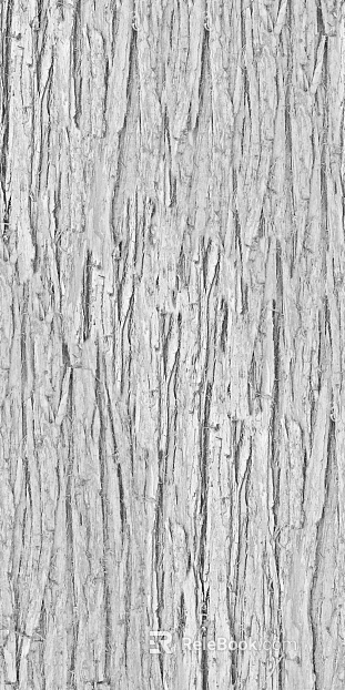 bark texture