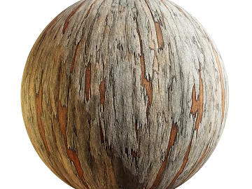 East Asian Bark PBR texture (ID:ffach469024)