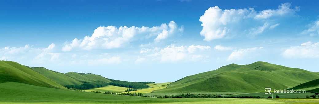 Wild Scenery texture