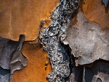 Rock texture (ID:ffabg21947)