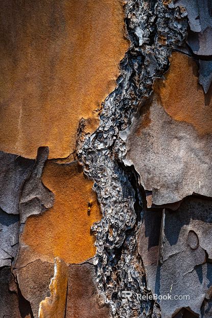 Rock texture