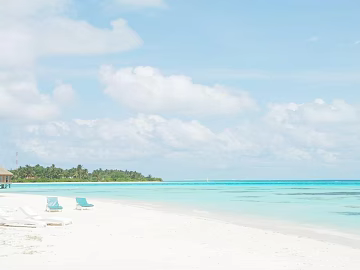 Wild Scenery texture (ID:ffaeg19514)