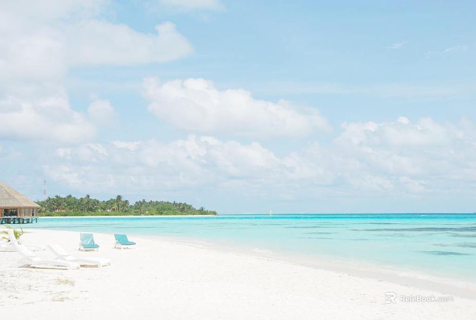 Wild Scenery texture