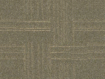 Carpet Plain Pattern Carpet Cloth Pattern Fur Carpet Living Room Carpet Office Carpet texture (ID:ffach007418)