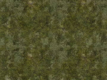 green grass 3d model