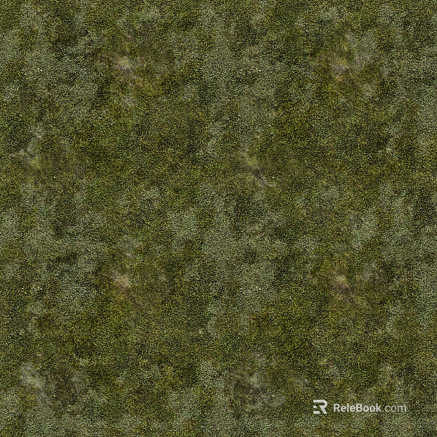 green grass texture
