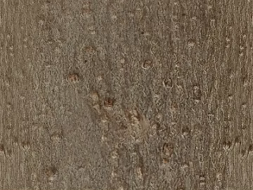 Light brown log grain furniture finish 3d model
