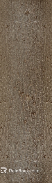 Light brown log grain furniture finish texture
