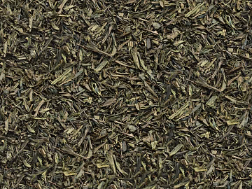leaves 3d model
