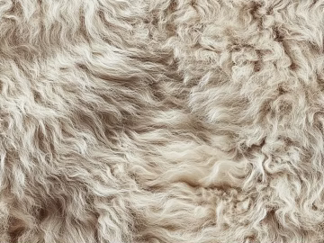 Animal Blanket texture (ID:ffach576078)