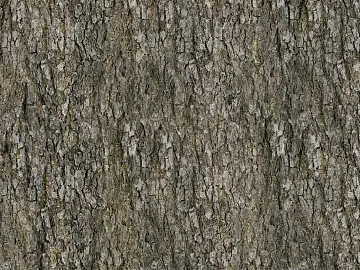 New Chinese style gray bark texture (ID:ffajh851872)