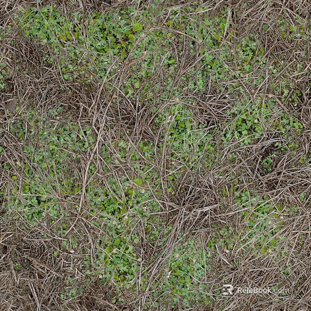 Dead weed skin courtyard ground texture