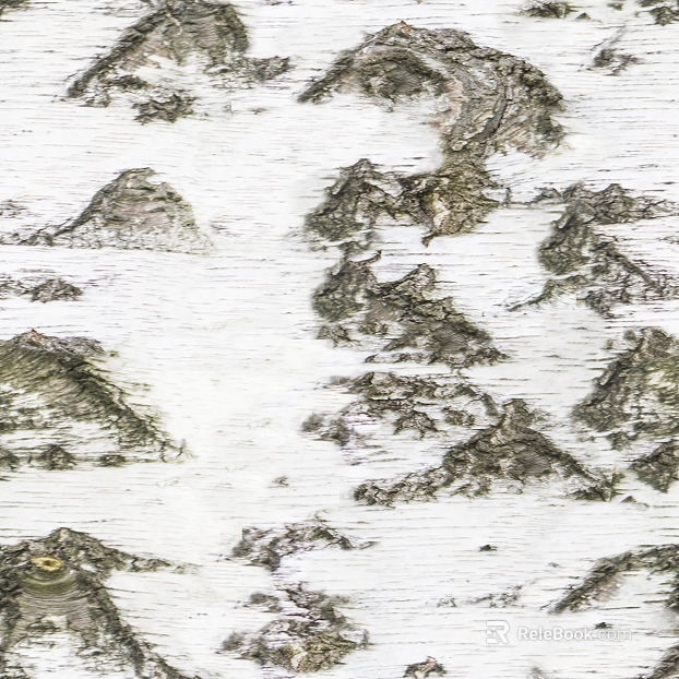 Gray white birch bark natural decorative surface texture