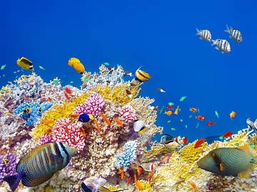 Fish tank texture (ID:ffach894614)