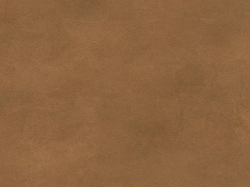 fine grain leather texture (ID:ffacg21259)