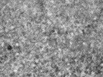 Black and White Bump texture (ID:ffacg25772)
