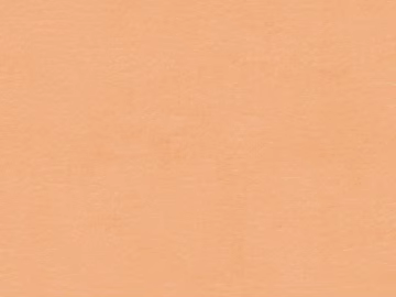 Coarse-grain leather texture (ID:ffaeg85156)