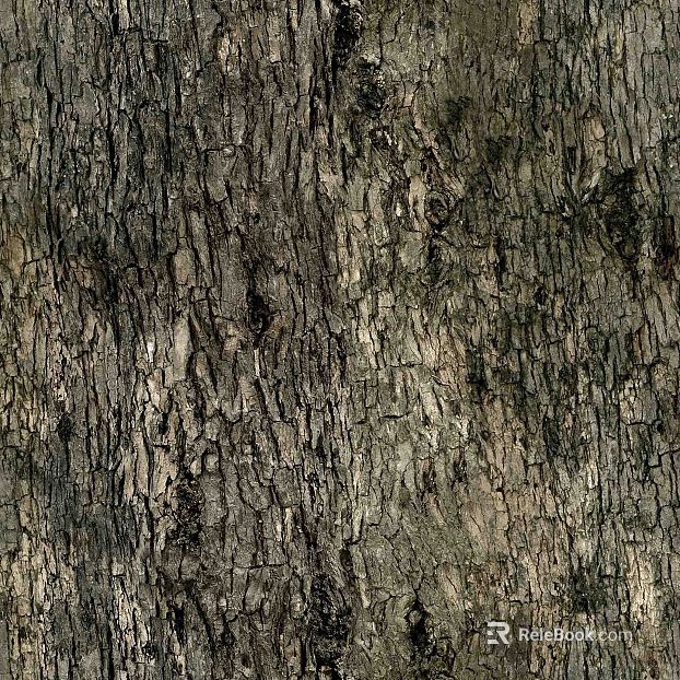 bark texture