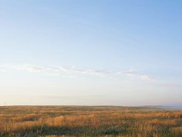 Field HDR texture (ID:ffach101260)