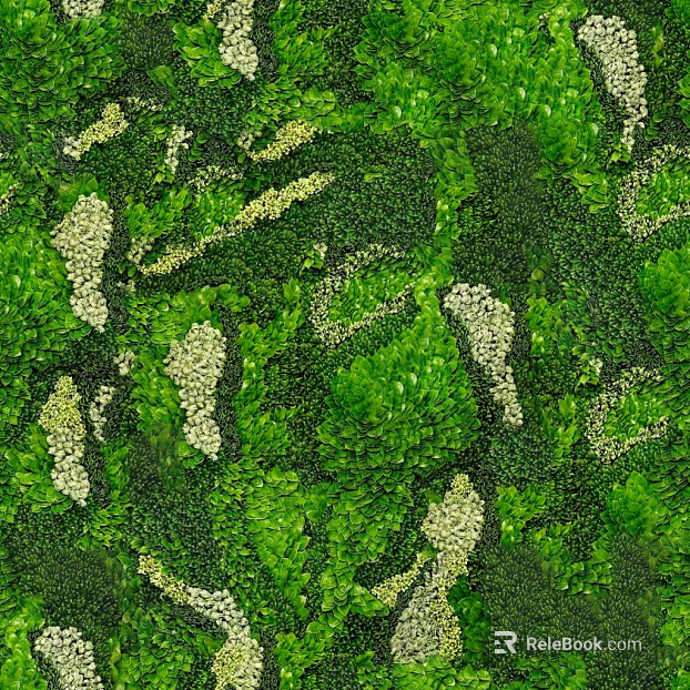 Plants texture
