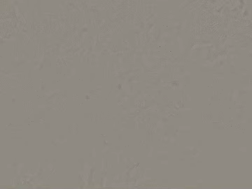 cement seamless texture (ID:ffagg59054)