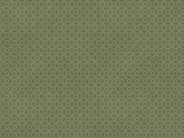 Italian Fabric Plain Fabric texture (ID:ffach509628)