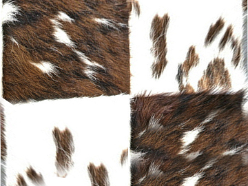 Animal Blanket texture (ID:ffabg77150)