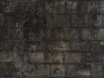Moldy rainy day brick texture (ID:ffach480623)