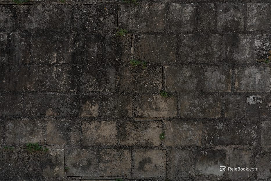 Moldy rainy day brick texture